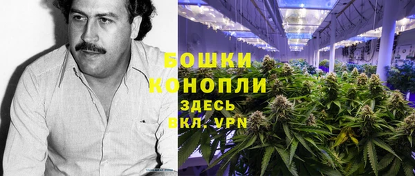 метадон Заводоуковск