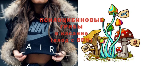 метадон Заводоуковск