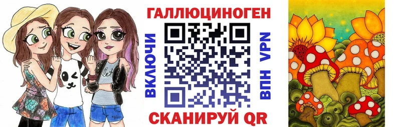 Купить  Катав-Ивановск  Галлюциногенные грибы MAGIC MUSHROOMS 